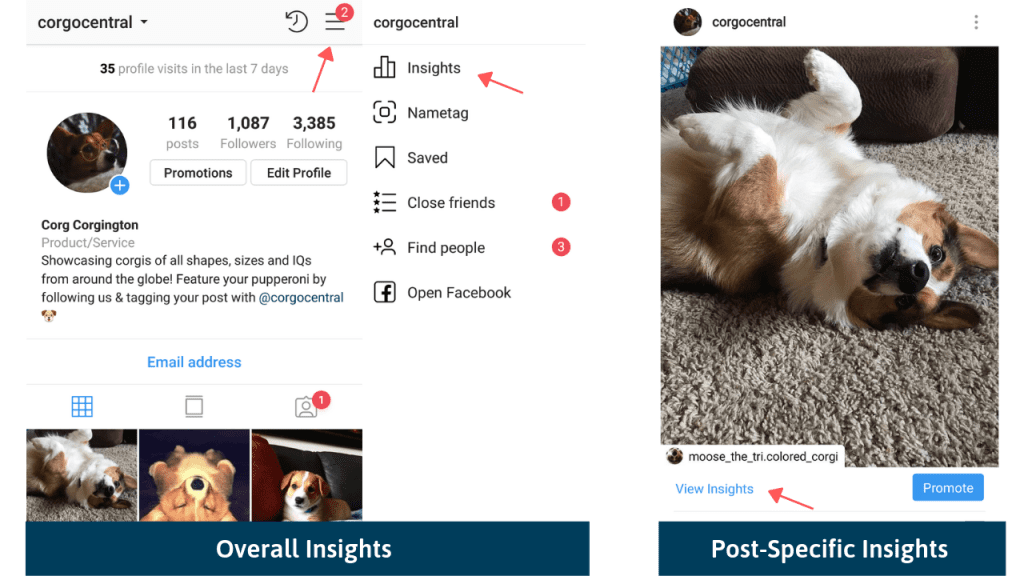 Finding Instagram Insights