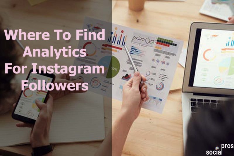 Best Instagram Follower Checker in 2021 Social Pros