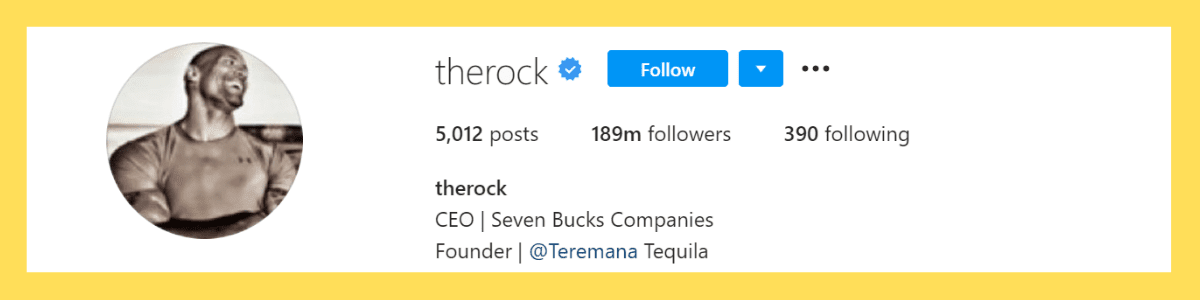 most followed Instagram accounts: The Rock