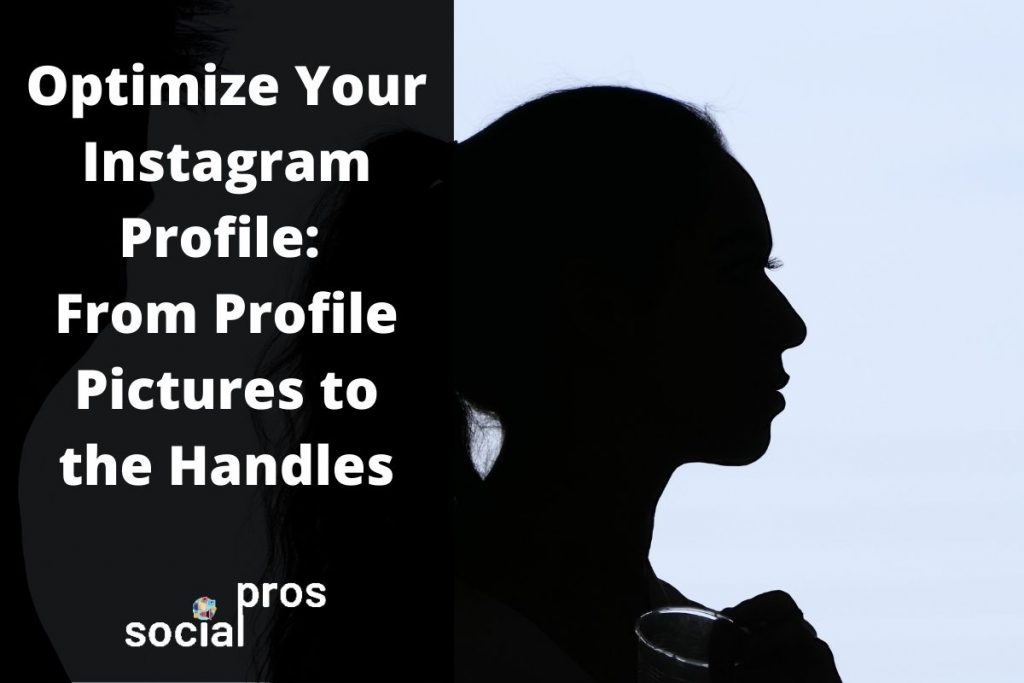 Optimize Your Instagram Profile Picture, Handle, and Bio Social Pros