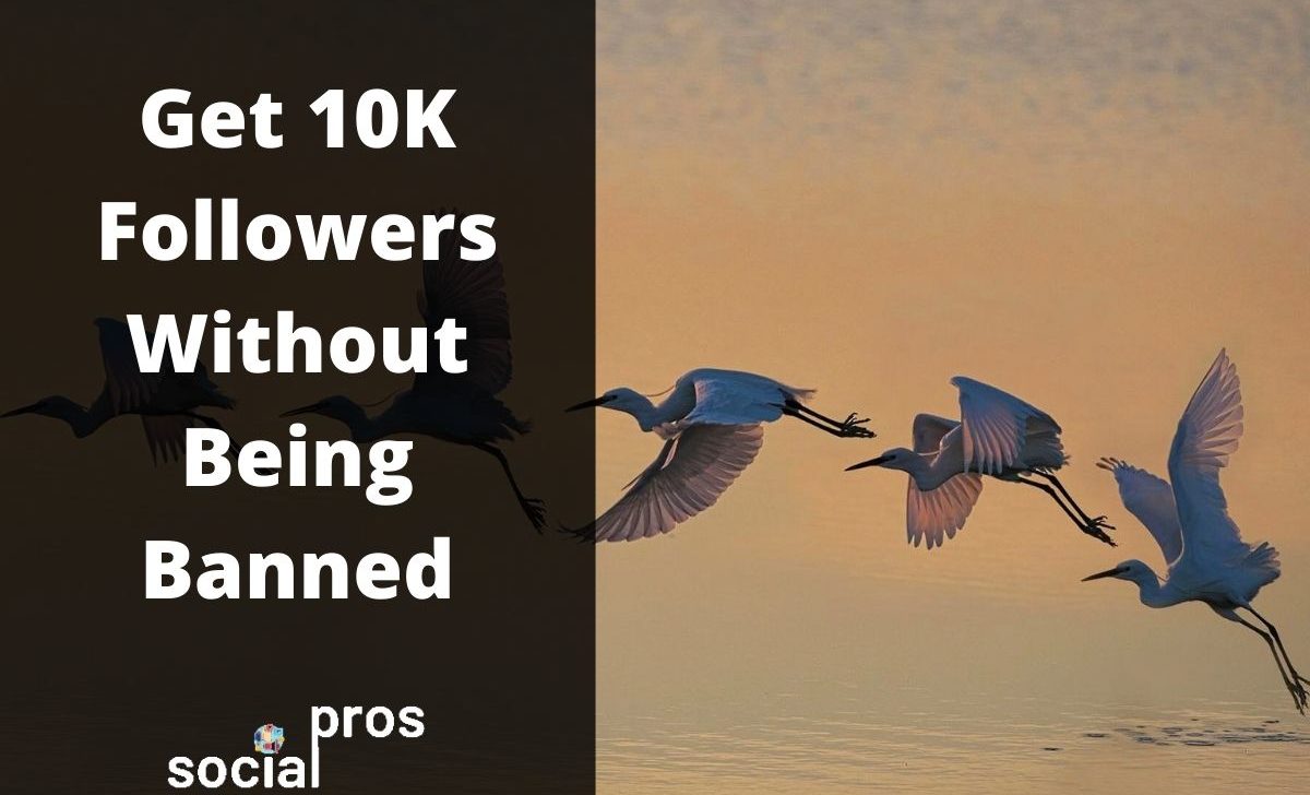 How to Get 10K Followers on Instagram Without Being Banned