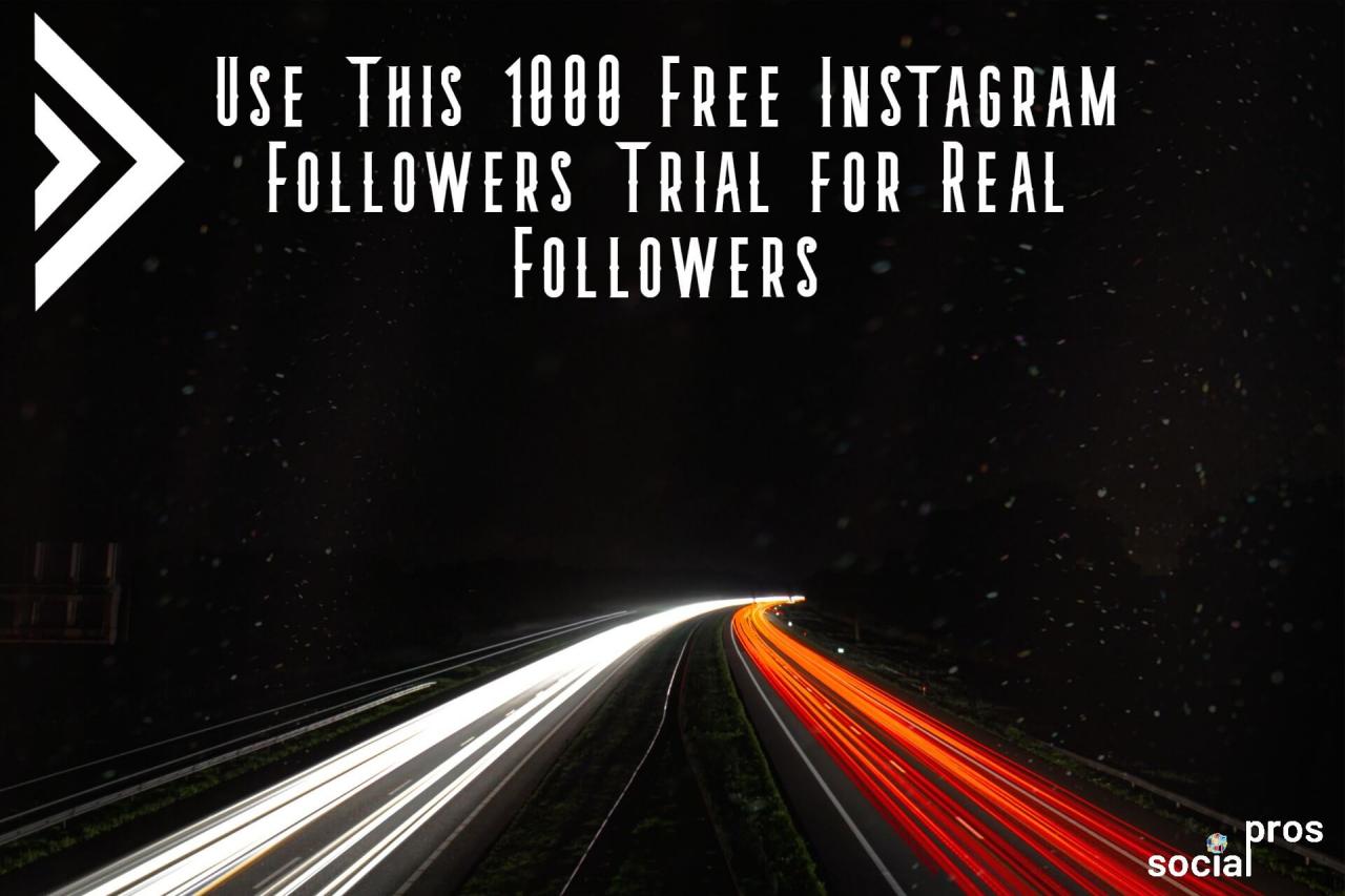 followers instagram free 1000