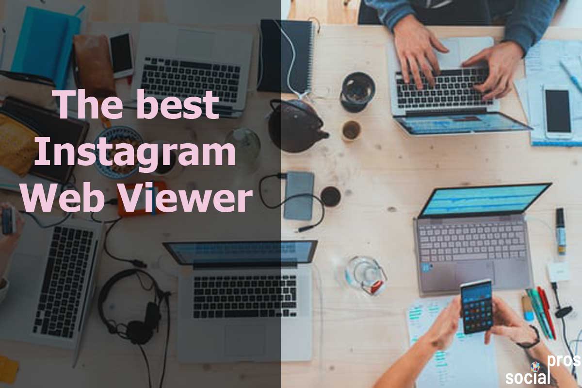 Read more about the article The Best Instagram Web Viewer to Help You Grow