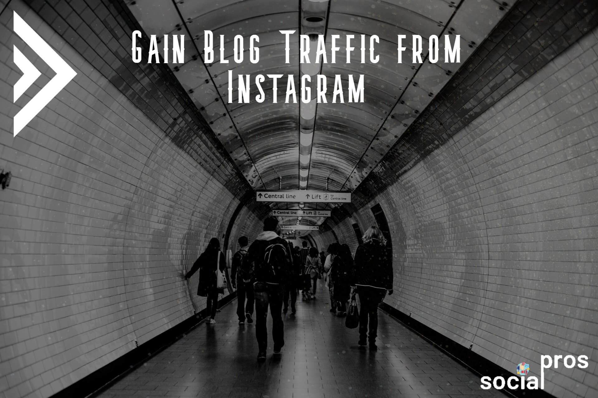 Read more about the article Gain Blog Traffic from Instagram: The Ultimate Guide