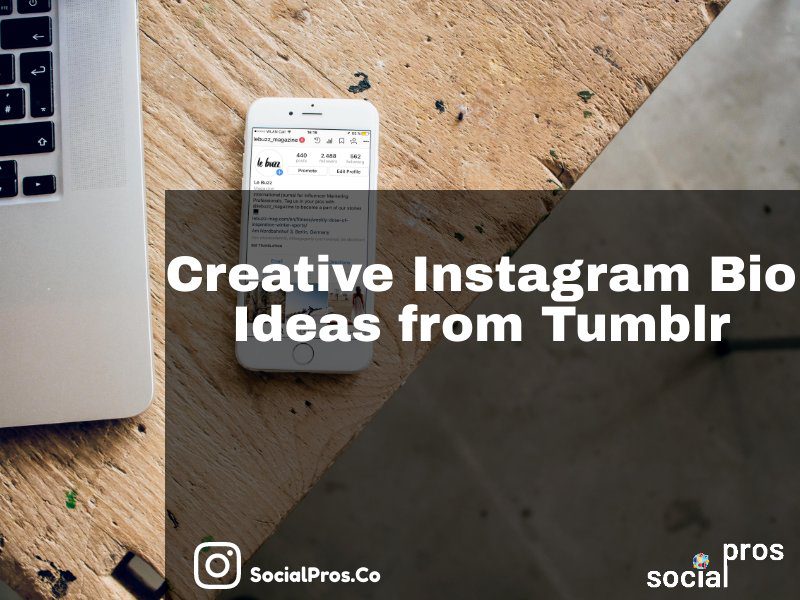 Read more about the article Creative Instagram Bios from Tumblr in 5 Categories+50 Quotes