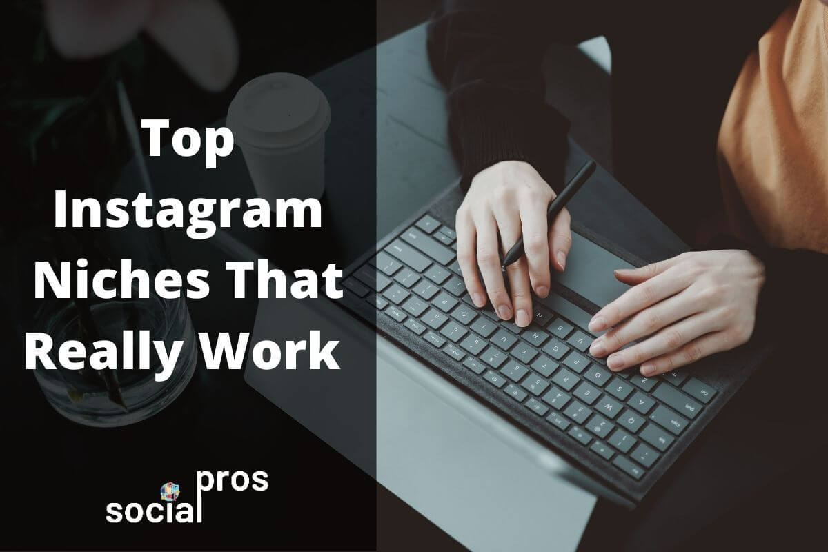 Read more about the article How to Find Top Instagram Niches That Really Work For 2021