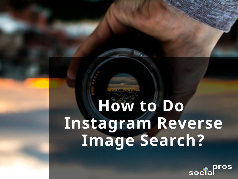 Read more about the article Instagram Reverse Image Search: 7 Ultimate Solutions To Stop Plagiarism for Your Works
