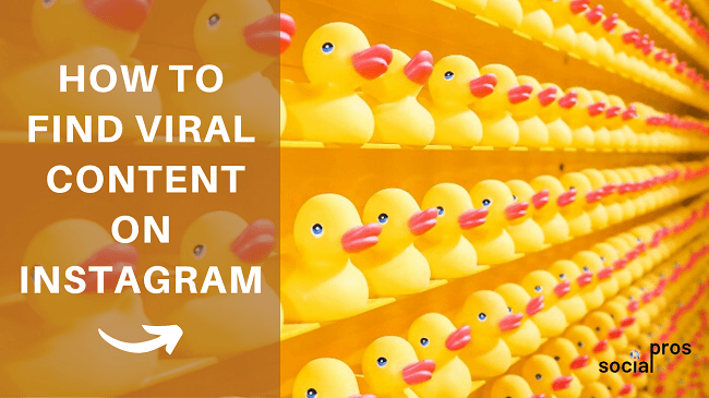 Read more about the article How to find viral photos and trending content on Instagram?