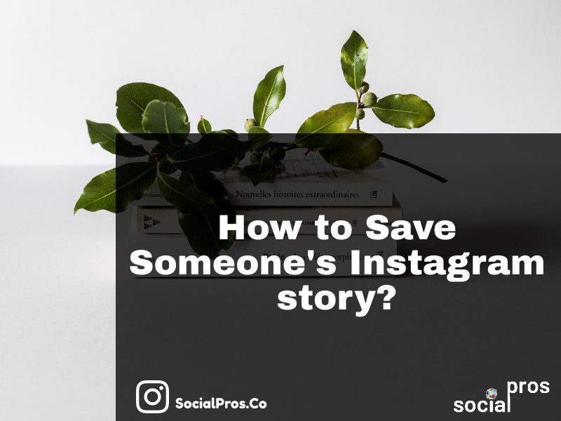 How to Save Someone's Instagram story? Safest Tool - Social Pros