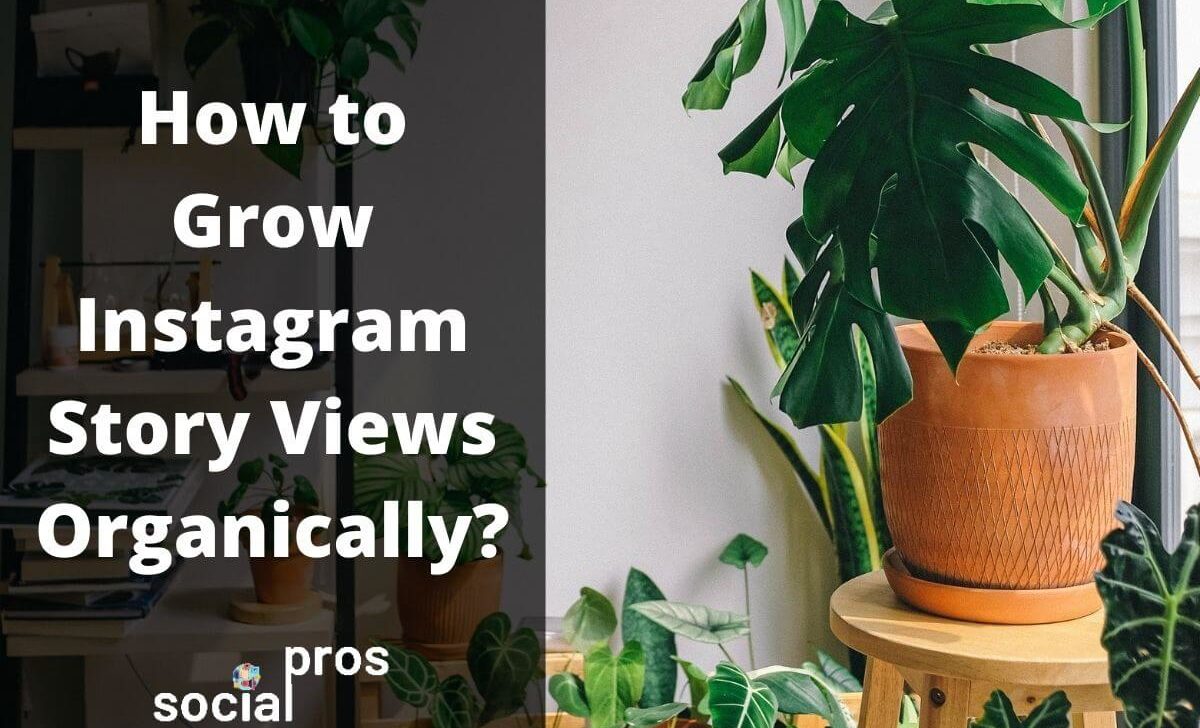 How to Grow Instagram Story Views Organically