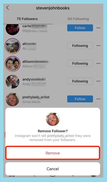 Hode followers on Instagram by Removing them