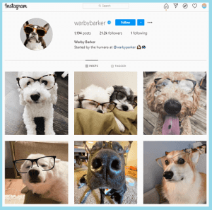 Warby Barkers page