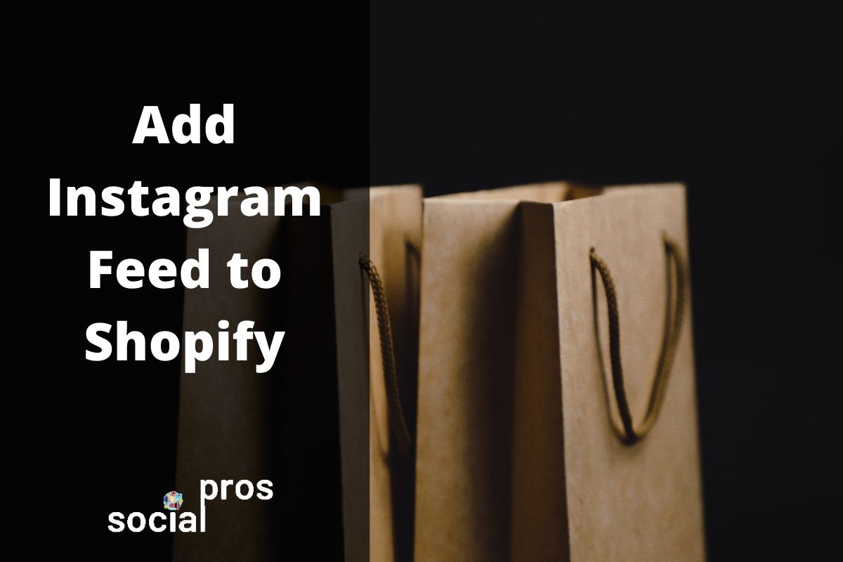 Read more about the article How to Add Instagram Feed to Shopify? The Ultimate Guide