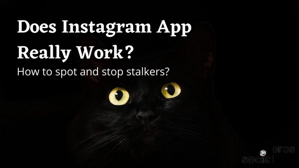 Does an Instagram Stalker App Really Work? Social Pros