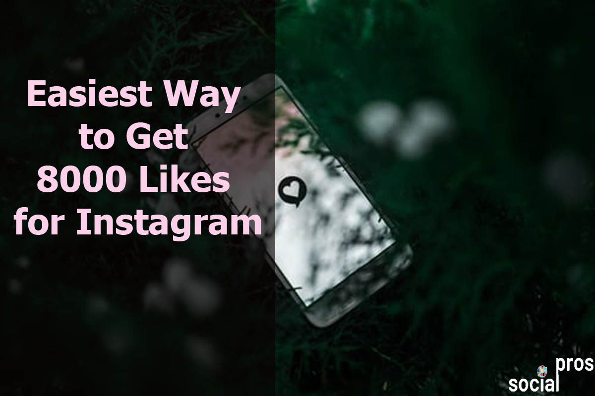 Read more about the article Easiest Way to Get 8000 Likes for Instagram