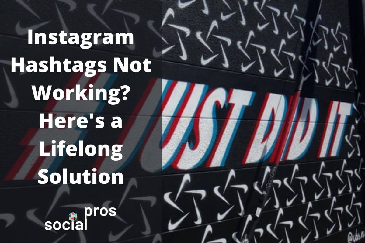 Read more about the article Instagram Hashtags Not Working? Here’s a Lifelong Solution