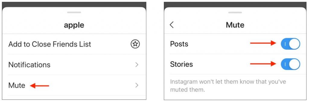 Instagram allows you to mute both posts and stories of someone
