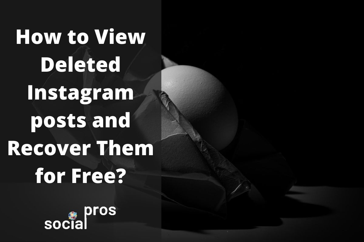 Read more about the article How to View Deleted Instagram Posts and Recover for Free?