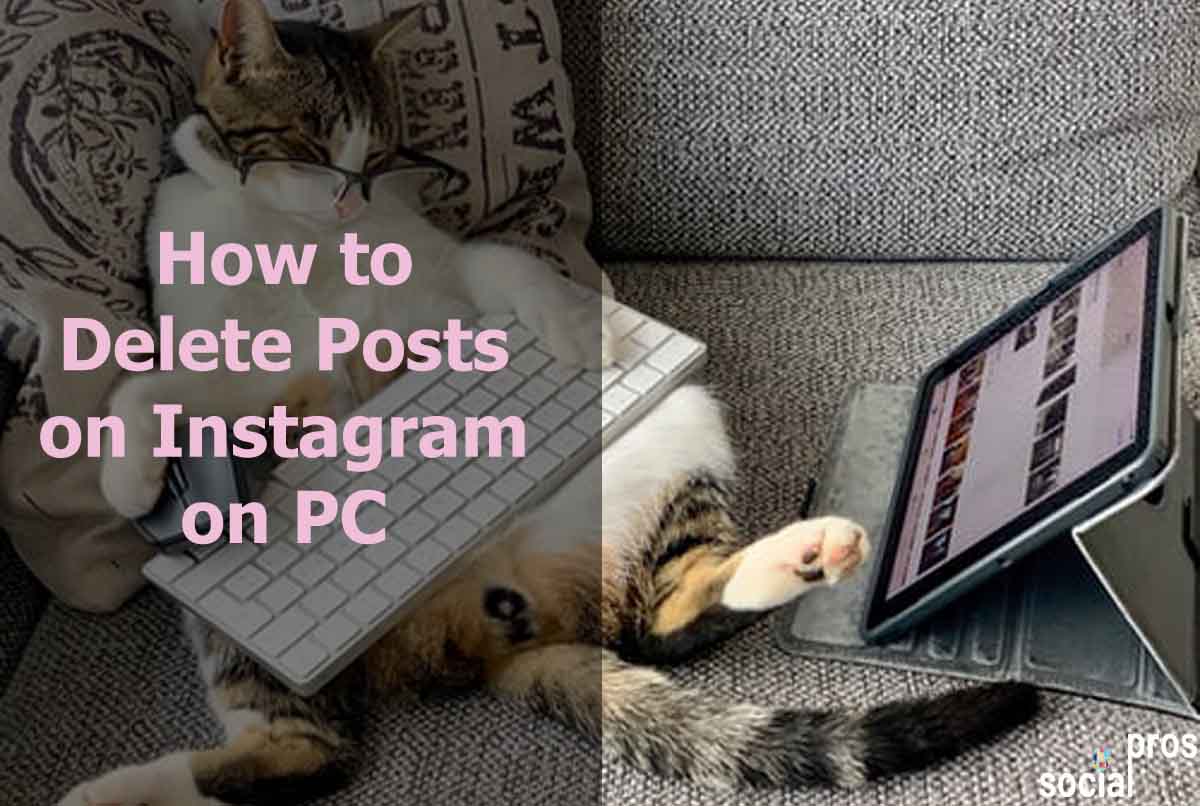 How to Delete Posts on Instagram on PC