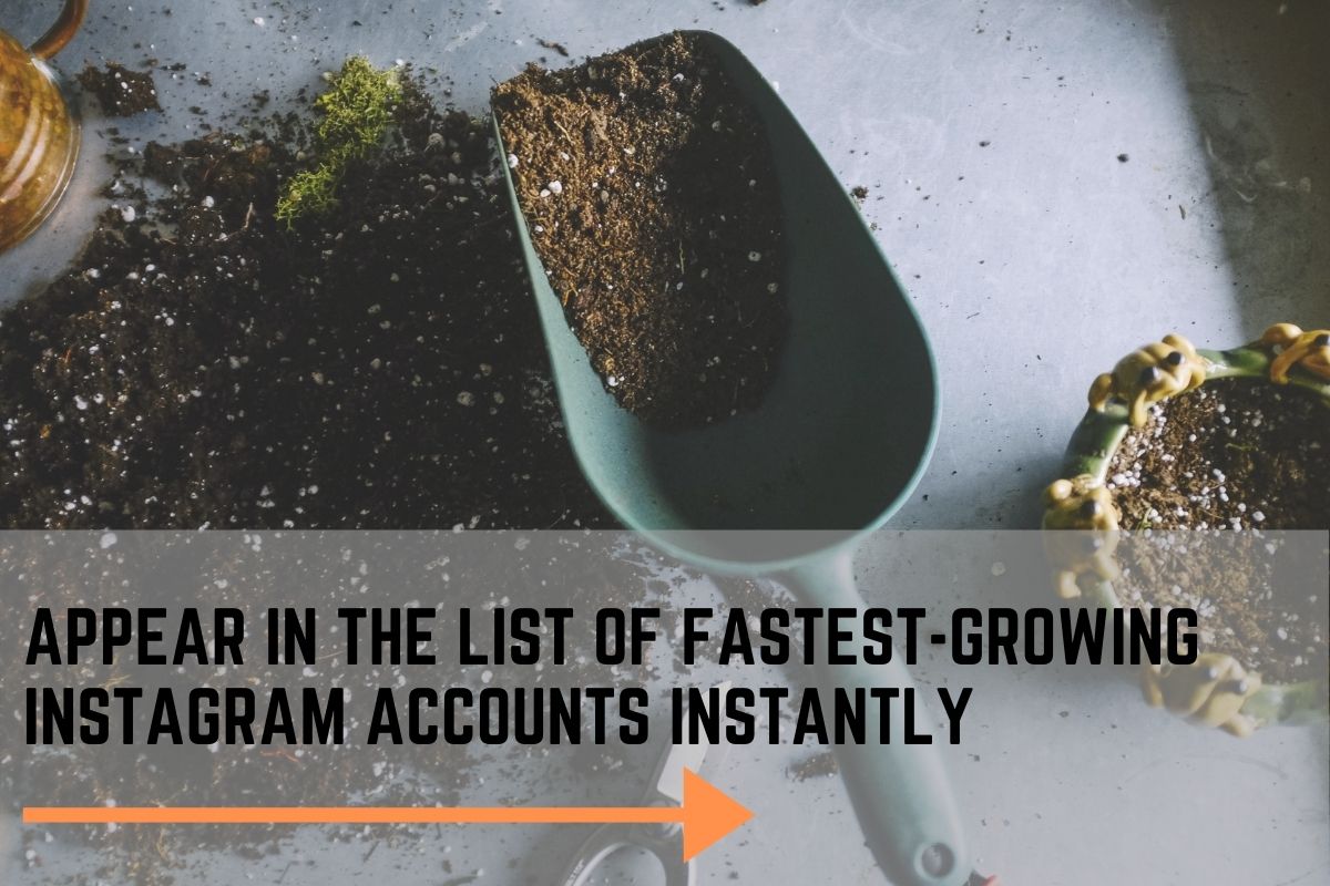 Appear in the List of Fastest Growing Instagram Accounts Instantly