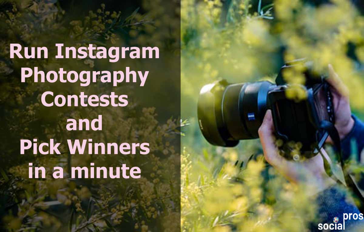 instagram-photography-contests-pick-winners-in-a-minute-social-pros