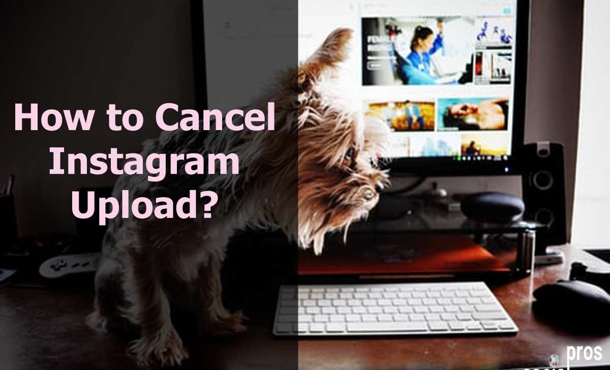 How to Cancel Instagram Upload in 2021
