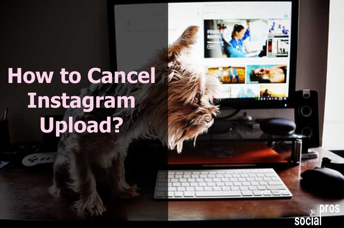 Read more about the article How to Cancel Instagram Upload in 2023 [Effective Methods Revealed]