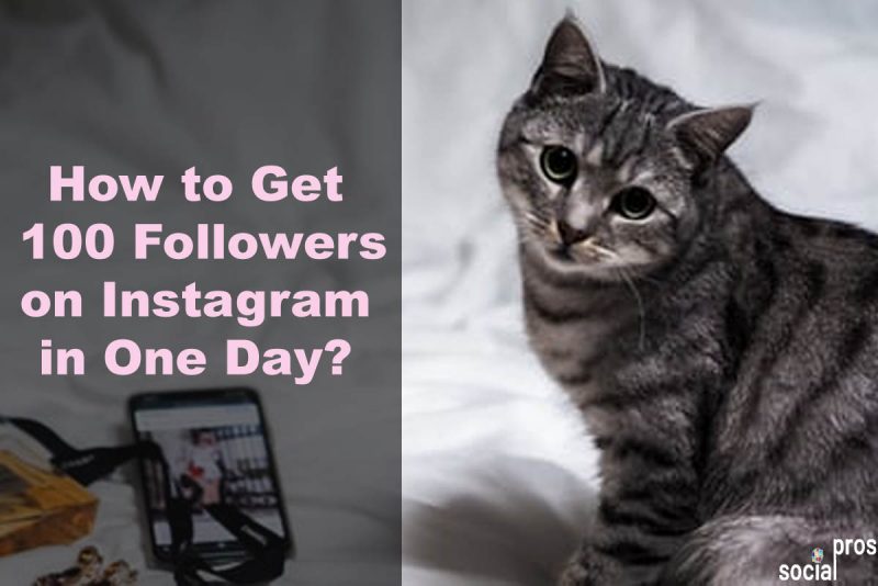 How to Get 100 Followers on Instagram in One Day? - Social Pros