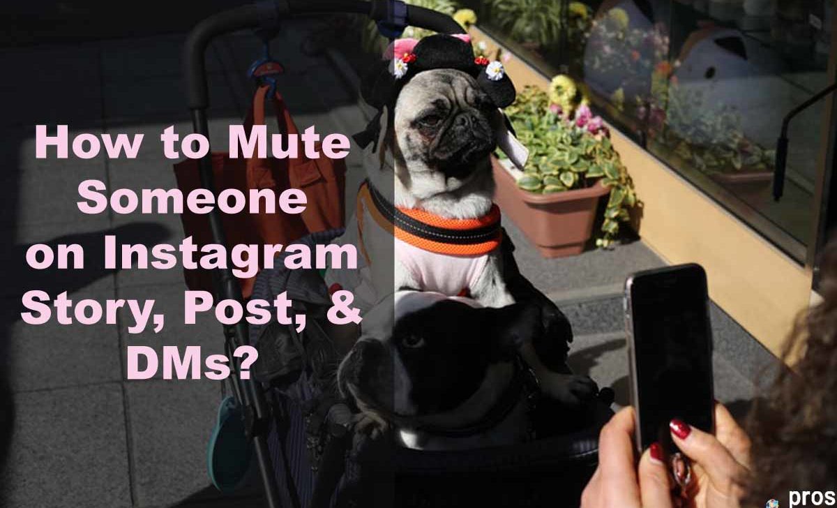 How to Mute Someone on Instagram Story, Post, & DMs