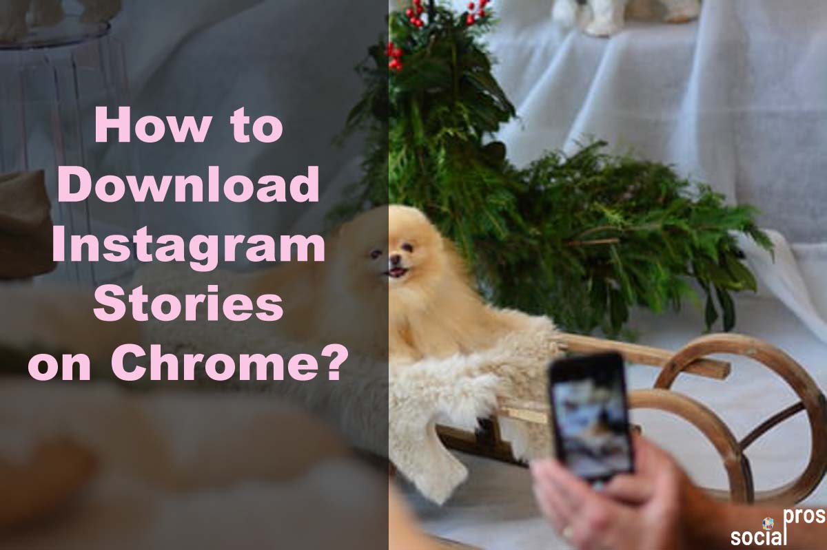 How to Download Instagram Stories on Chrome?