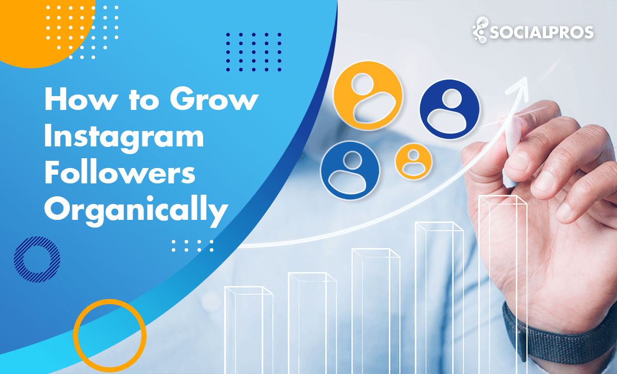 Read more about the article How To Grow Instagram Followers Organically [The Best Guide In 2023]