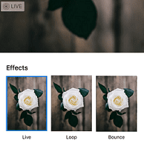 Convert a Live Photo