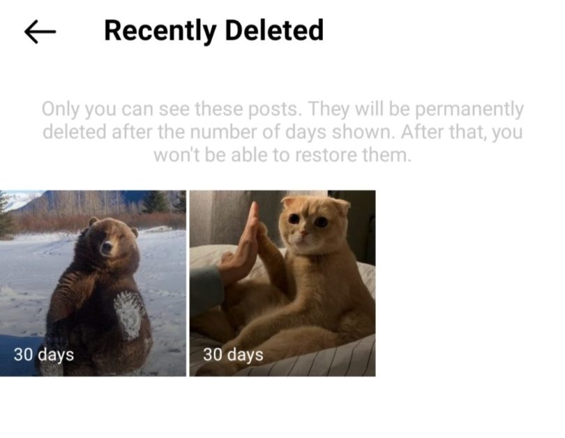 How to restore Insta Images