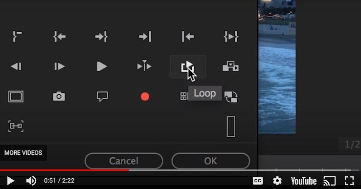 how to loop a video on Instagram story by Premiere Pro