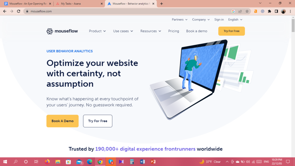Mouseflow homepage