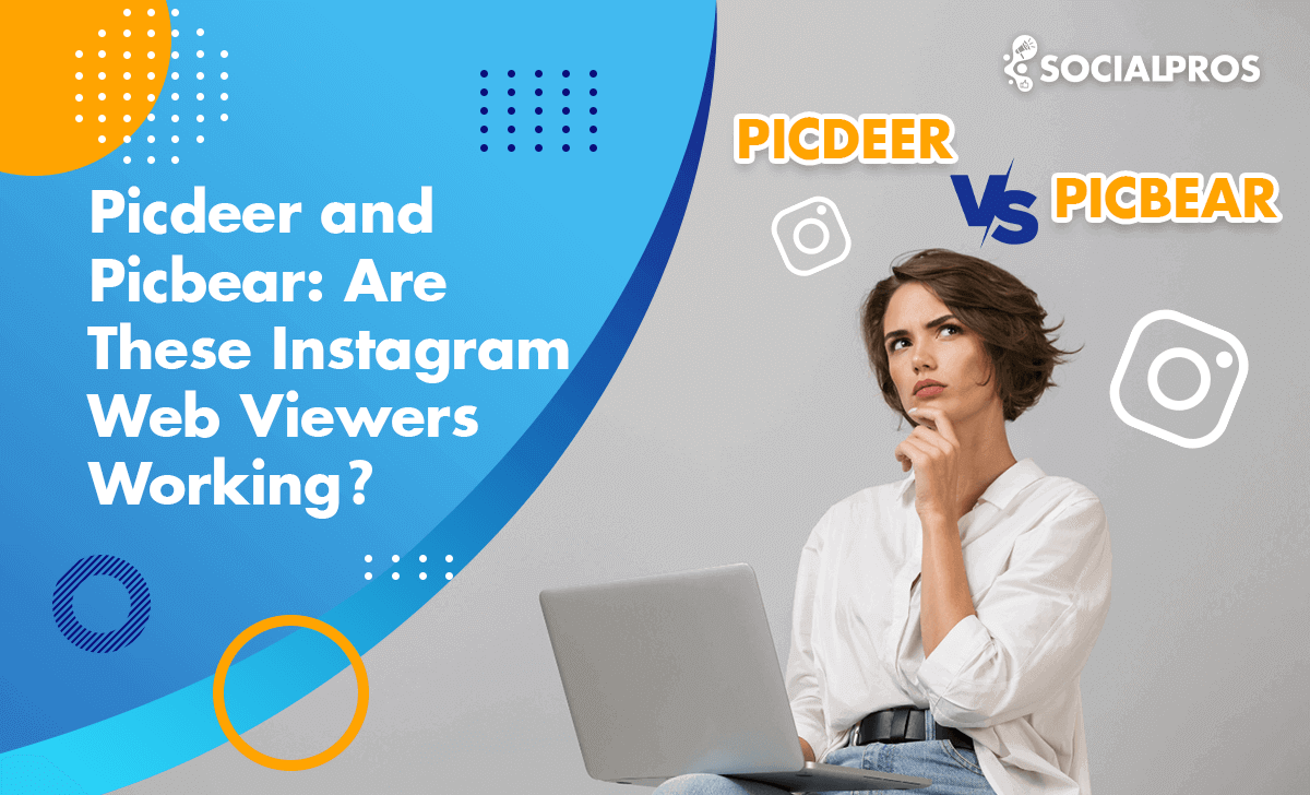 Read more about the article Picdeer vs. Picbear: Are These Instagram Web Viewers Working in 2023?