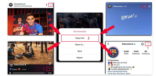 How to Use SaveInsta Instagram to Mp4 Video Downloader