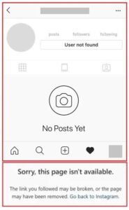 User Not Found Instagram Explained: 8 Definitive Causes & Solutions ...