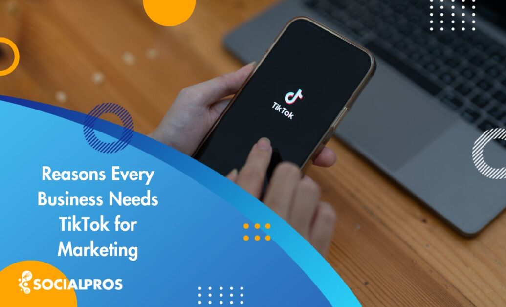 Read more about the article 5 Reasons Every Business Needs TikTok for Marketing