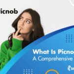 What Is Picnob (or Pixwox)? A Comprehensive Review in 2024