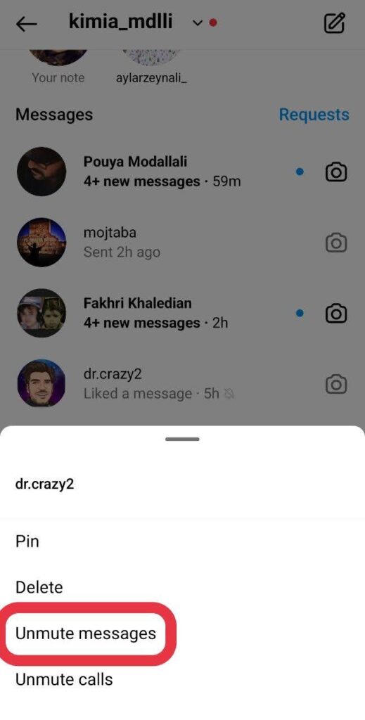 How to Unmute Someone on Instagram Messages
